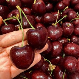 CHERRY 3J