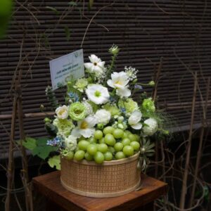 MÂM LỄ NHO XANH ÚC