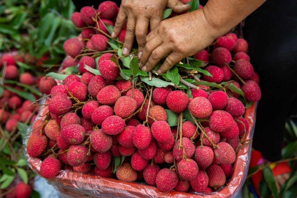 Lychee (Vải)