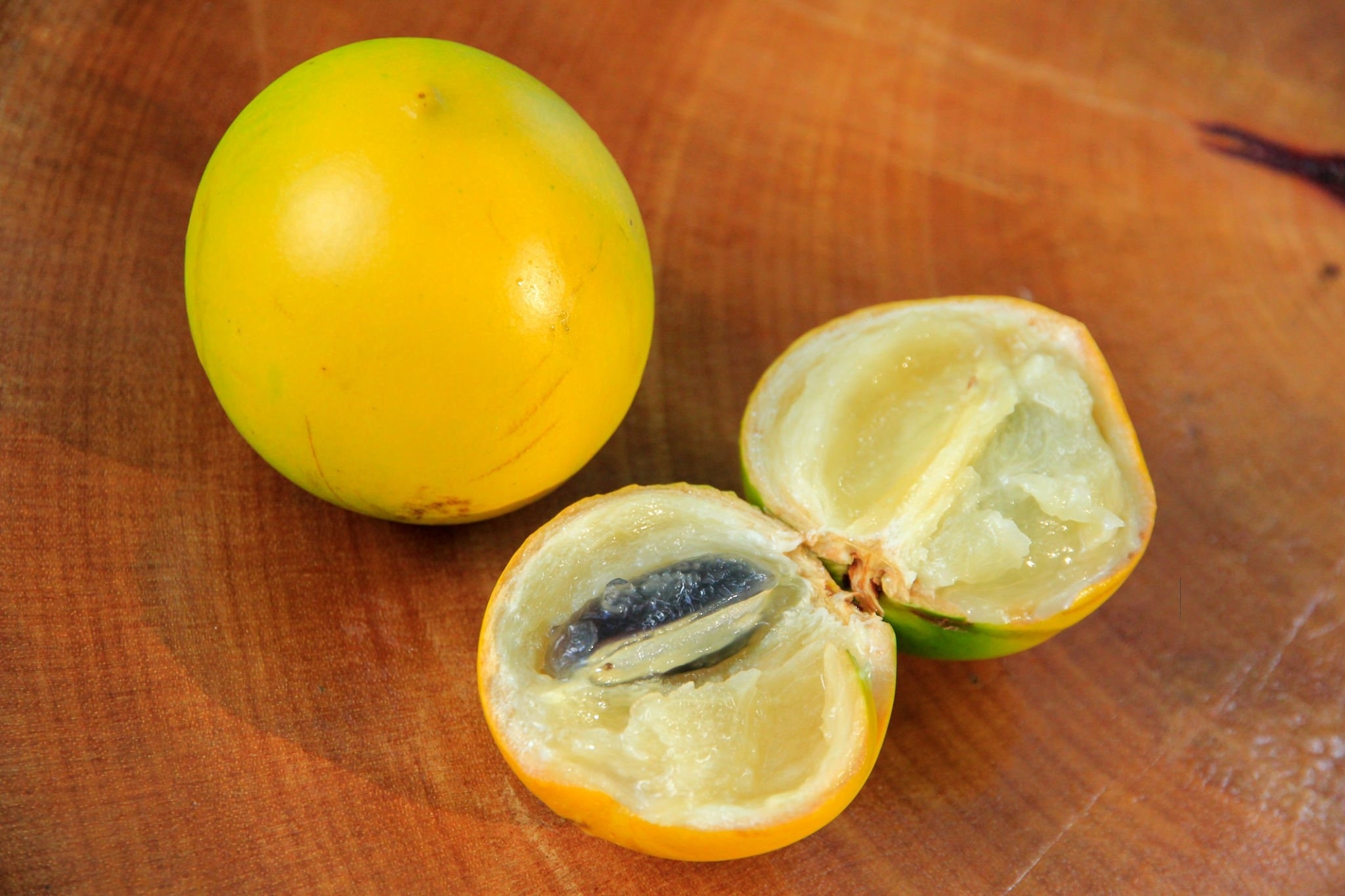 Star Apple (Vú sữa)