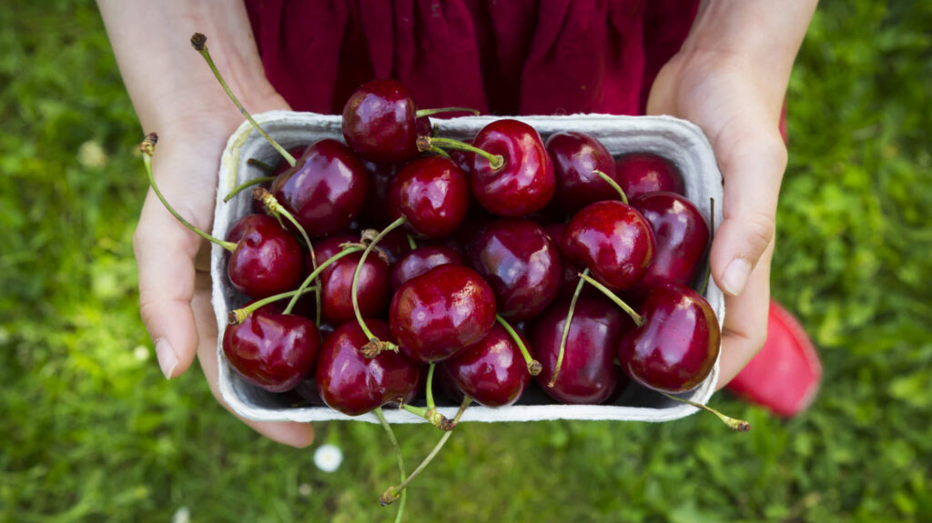 cherry chile có ngon không